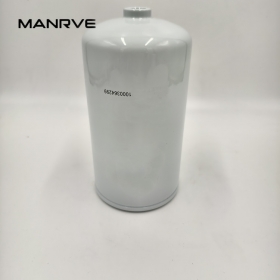Fuel Filter Element 1000364299