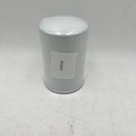 Fuel Filter FF5052 FF505200 FF505201 FF5461 FS42000 02910155A